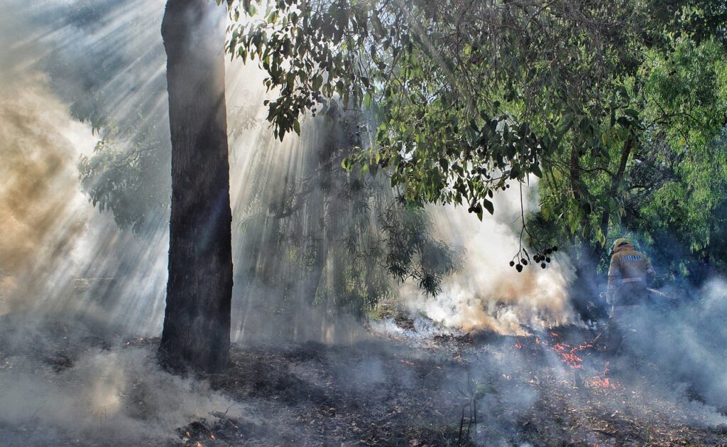 bushfire, smoke, forest-6188260.jpg